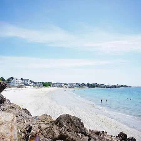 -petrel- Avec Grand Jardin Hébergement de vacances Concarneau